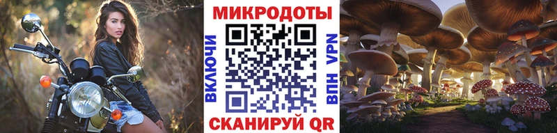 Псилоцибиновые грибы MAGIC MUSHROOMS  Бакал 